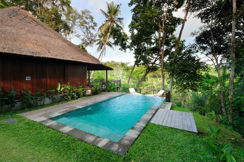 Thatched wooden villa with amazing views near Ubud