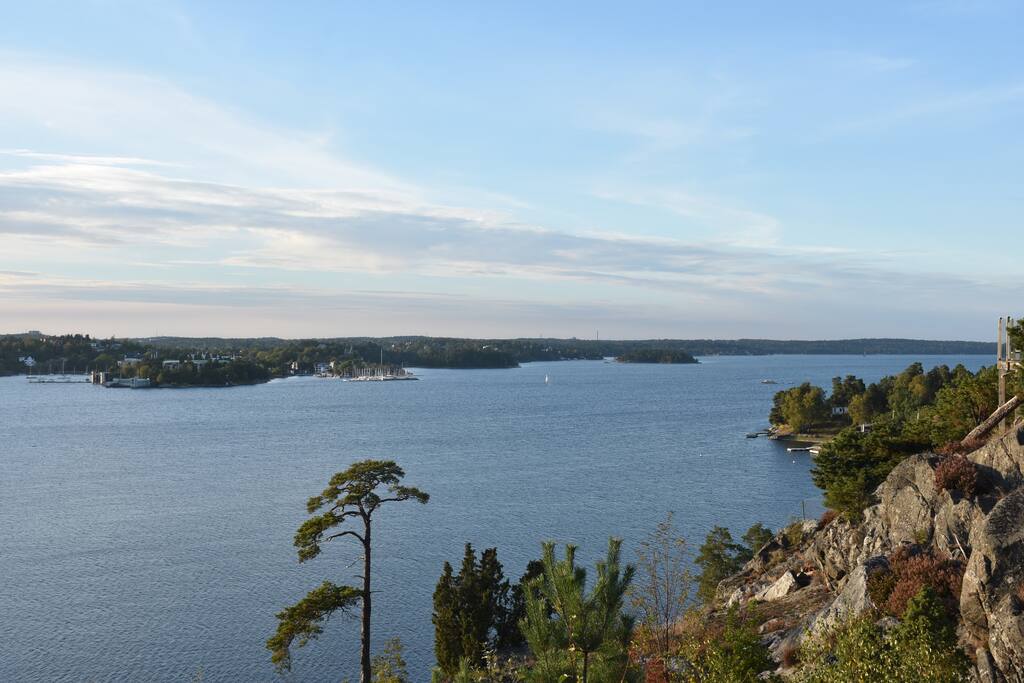 Utsikt sommar.