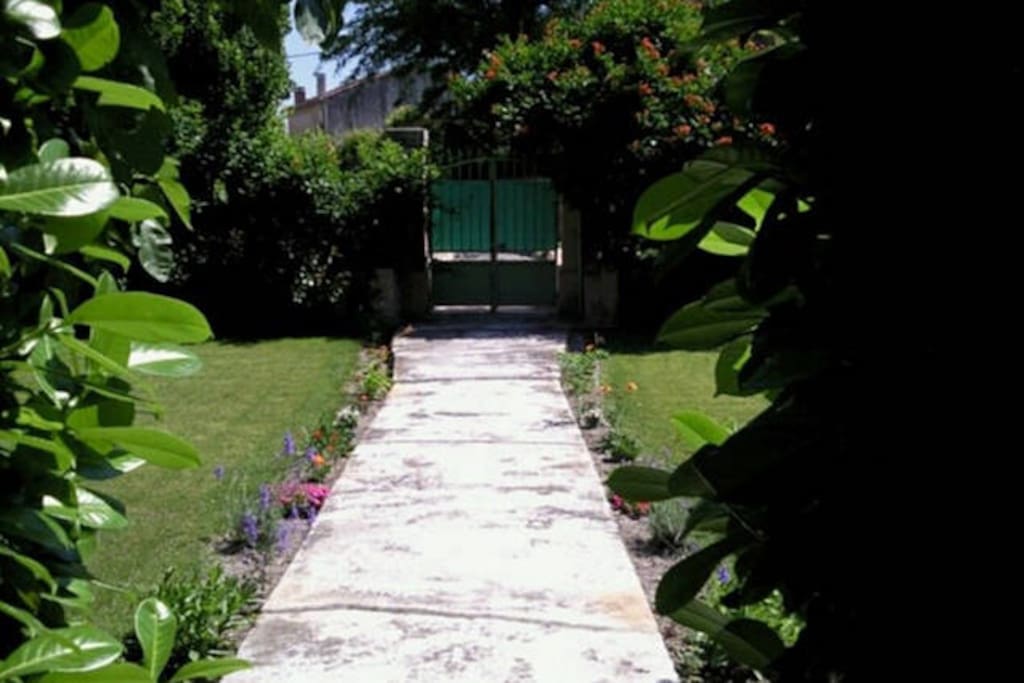 Un coin de verdure