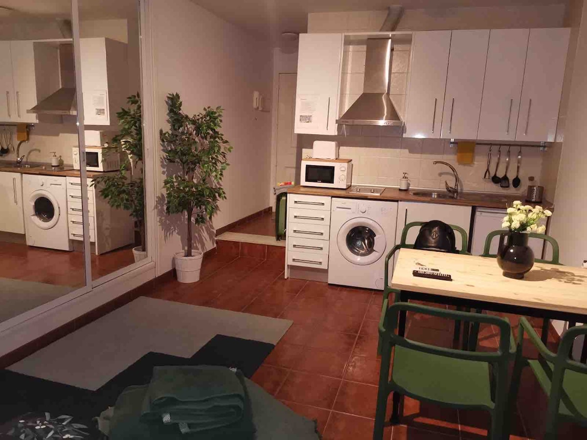 A modern kitchen area is equipped with essential appliances, including a microwave and washing machine. A dining table with green chairs is positioned in front of a mirrored wall, enhancing the sense of space. A potted plant adds a touch of greenery to the setting.