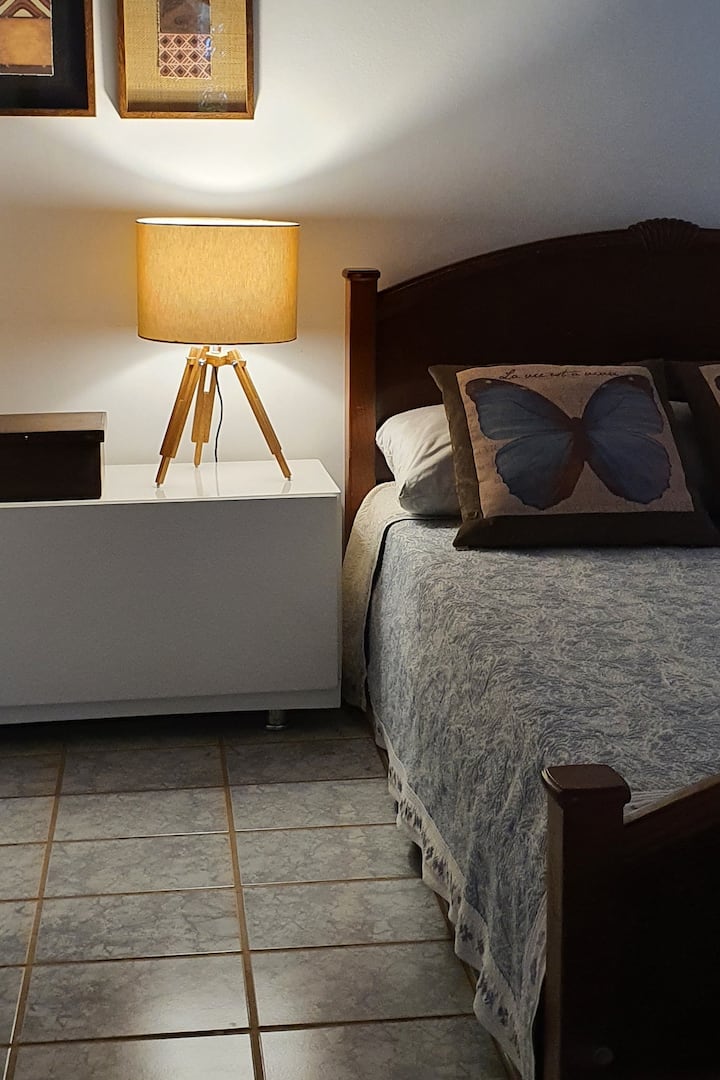 Dhomë dyshe në katin e mësipërm. Pamje e oborrit të përparmë dhe një pjese të pyllit