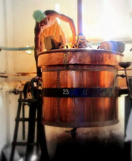 Distillation d'Ylang et d'huiles essentielles
