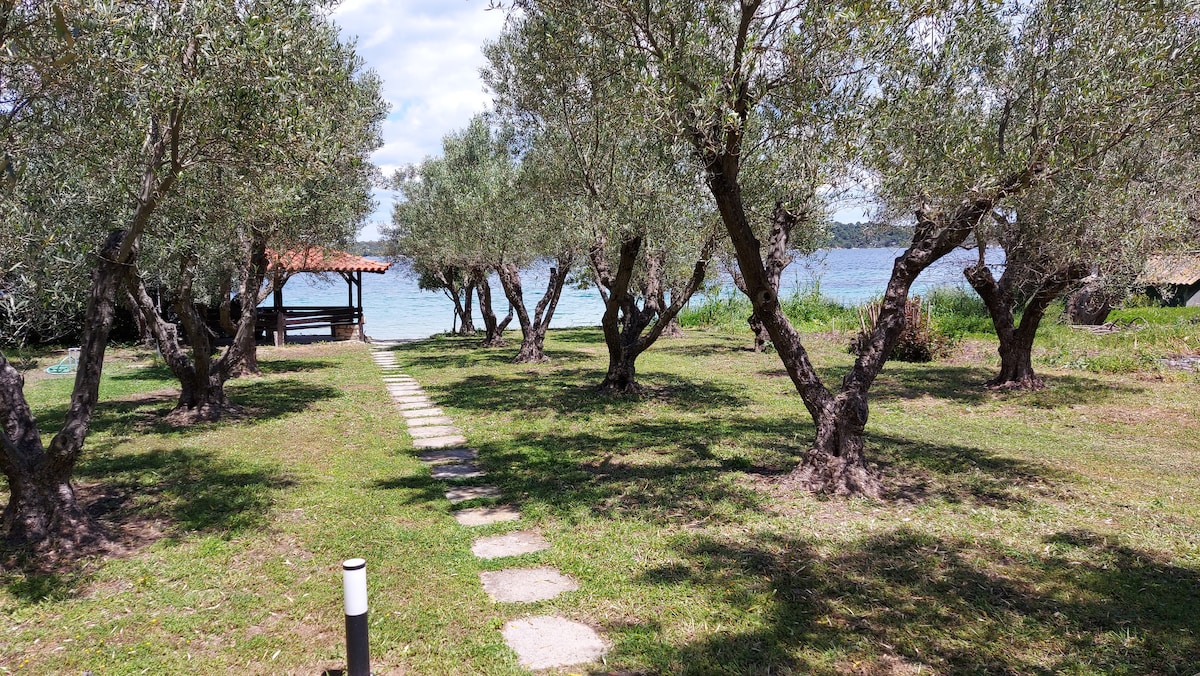 A pathway lined with stepping stones leads through an olive tree garden towards a small gazebo by the water. The scene features lush greenery and the calm waters of the bay, offering a serene setting for relaxation.