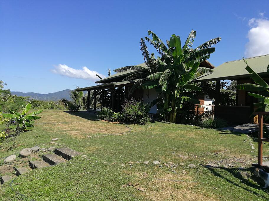 Cirenas Dining hall & kitchen
