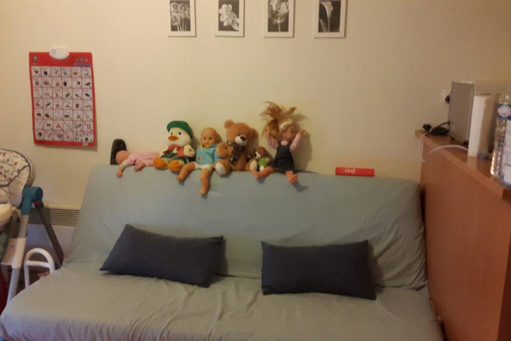 The sofa (it can be opened to use as a bed for 2)