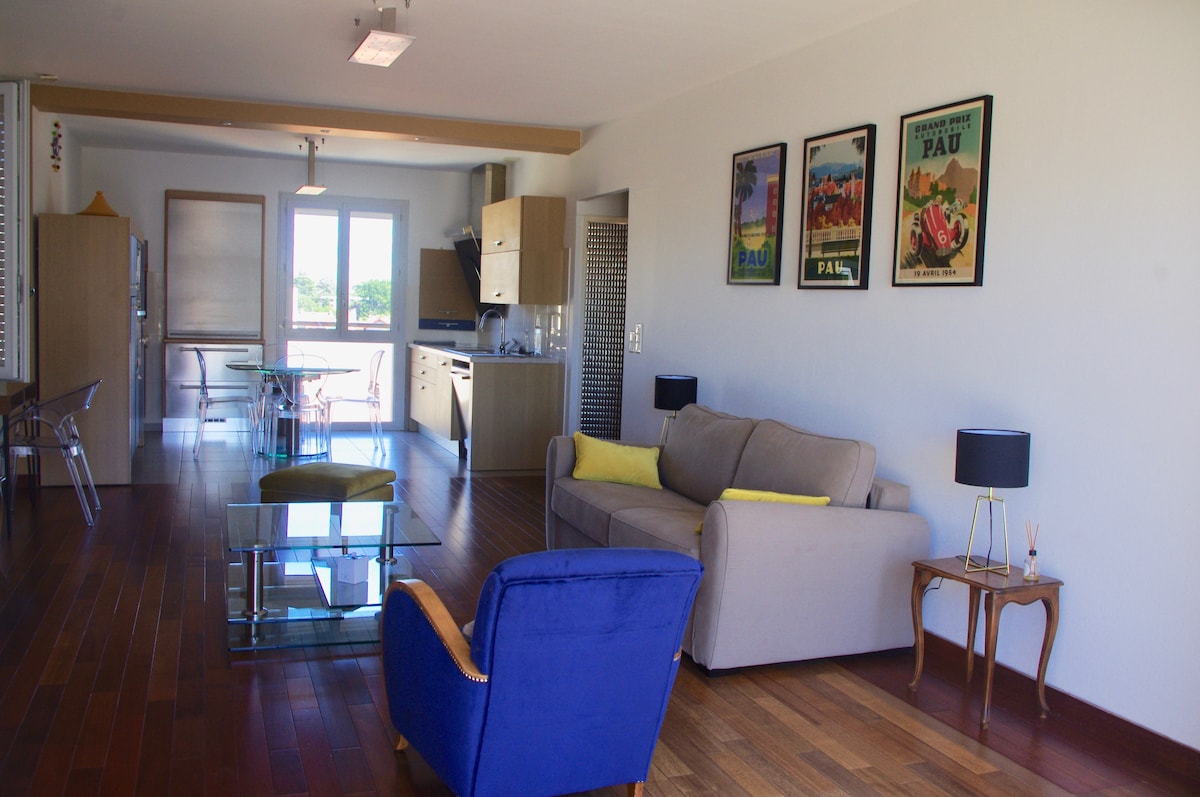 Proprietà Airbnb di successo: Terrace apartment with view of the Pyrenees a Pau