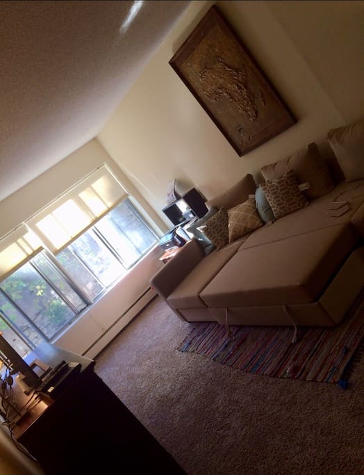 Living room coach pulls out to a full size queen bed.
