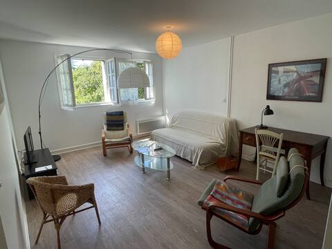 Apartment downtown La Roche-Posay