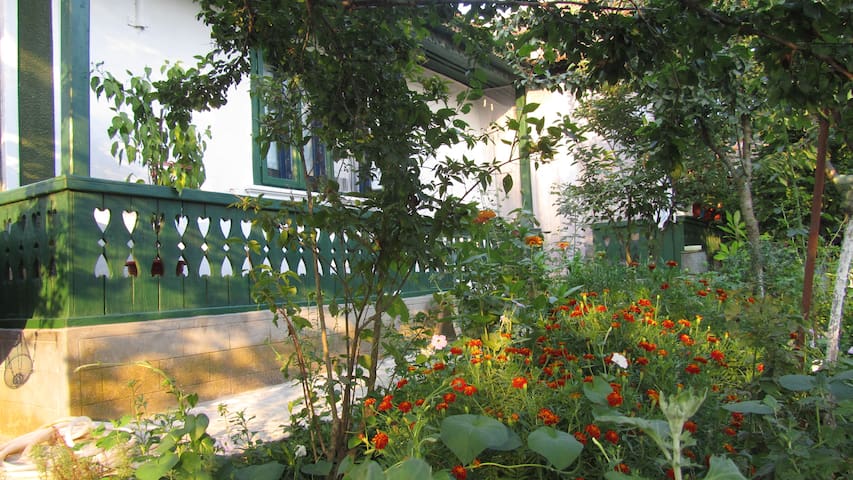 Traditional house,authentic,natural