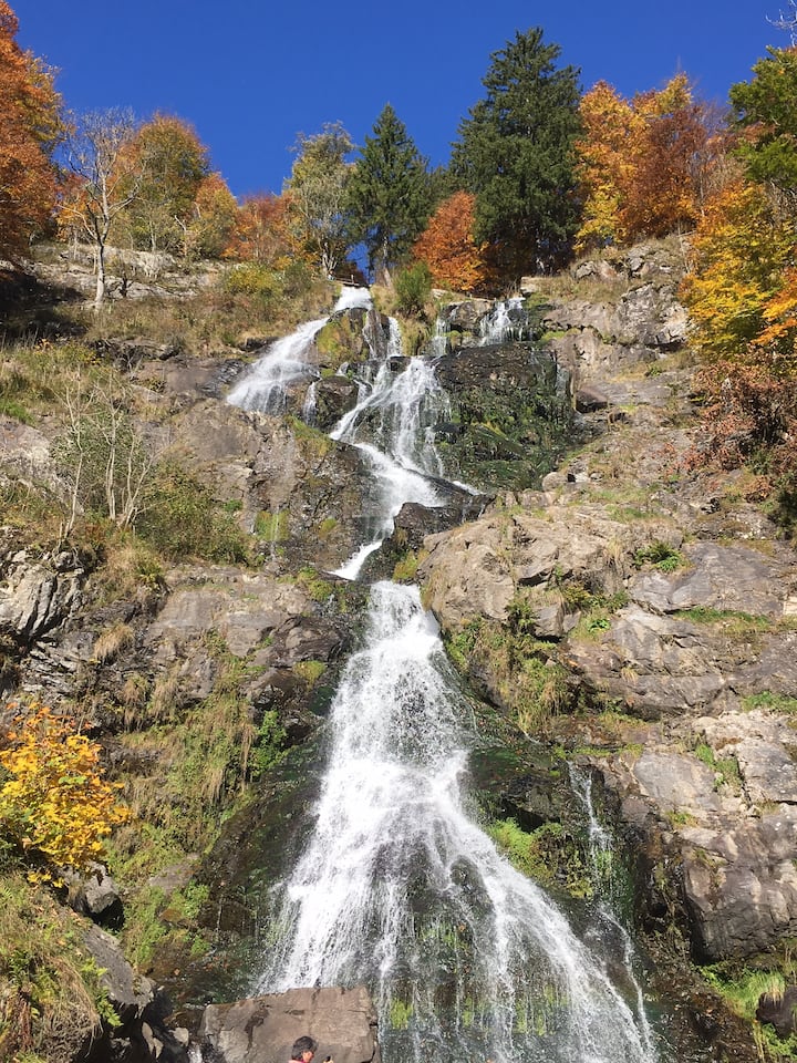 " StÜBENBENBÄCHLEHOF"
