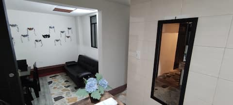 Top performing Airbnb: 2A 1D Apartment near downtown in San Cristóbal