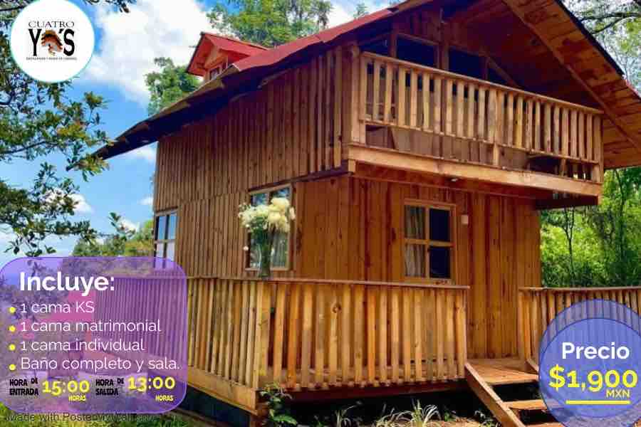 A wooden cabin features a two-story design with a balcony adorned with potted plants. Large windows allow natural light to fill the interior. The exterior is surrounded by greenery, enhancing the cabin's rustic charm.