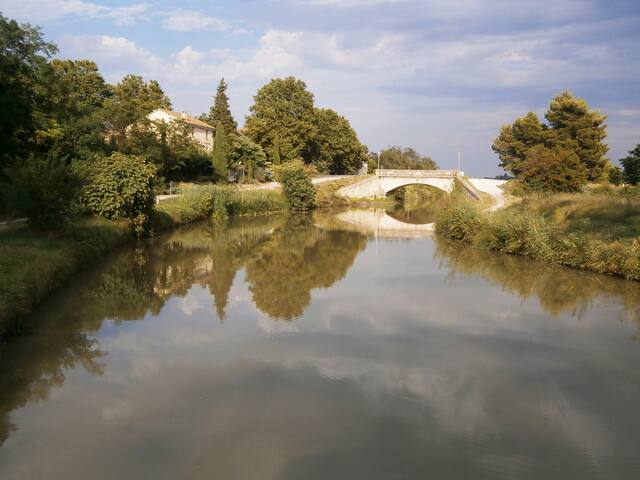 Le Chat Qui Peche Bar Argeliers Airbnb