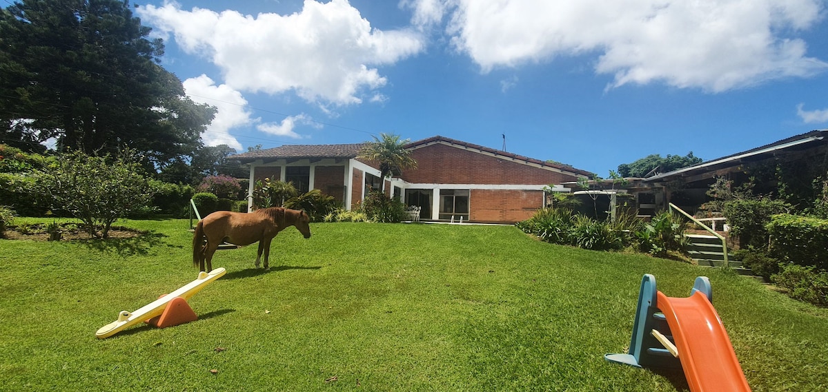 A spacious green lawn is surrounded by lush vegetation, featuring a horse grazing peacefully. In the background, a single-story house with large windows offers a glimpse of indoor spaces. Colorful playground equipment is visible in the foreground, adding a playful element to the natural setting.