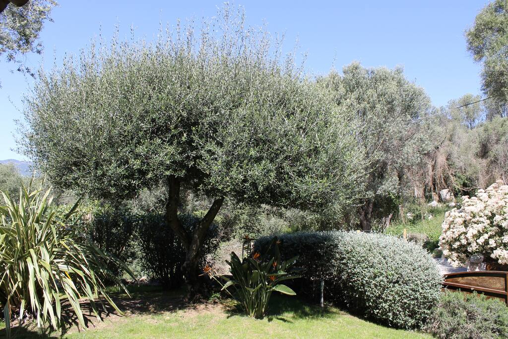 jardin planté