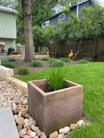 Fabulous House, walk downtown! gallery image 3