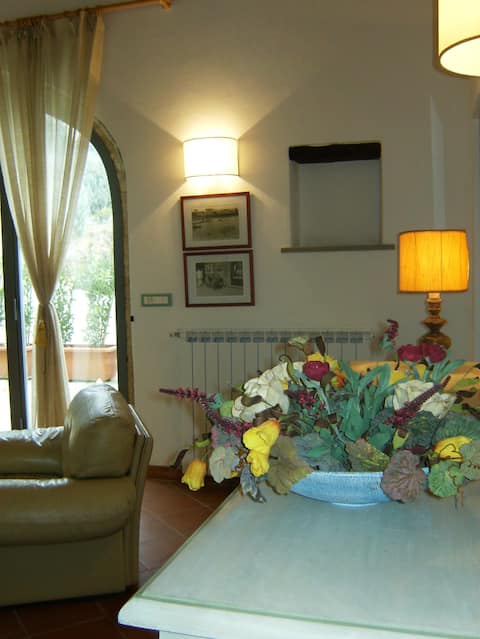 Proprietà Airbnb di successo: Le Massucce 1 Farmhouse in Chianti a San Casciano In Val Di Pesa