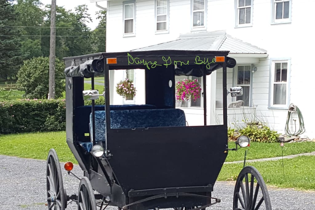 Our Amish buggy is available for Amish country tours at a discounted rate to our guests.