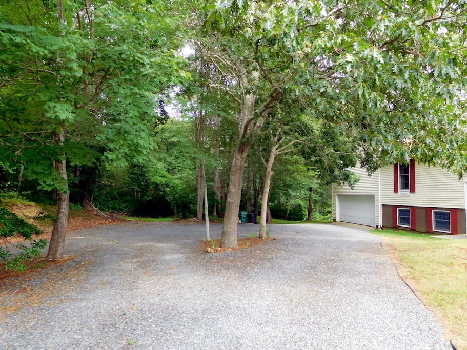 Front Entrance Parking Area