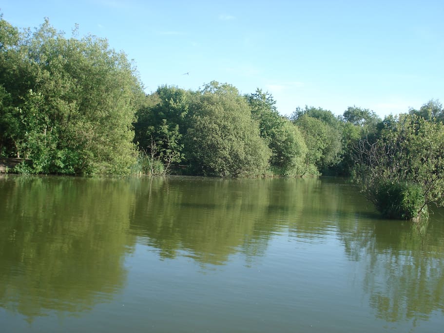 View of the Lake