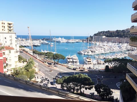 Stunning 3 bds overlooking the port and seaview