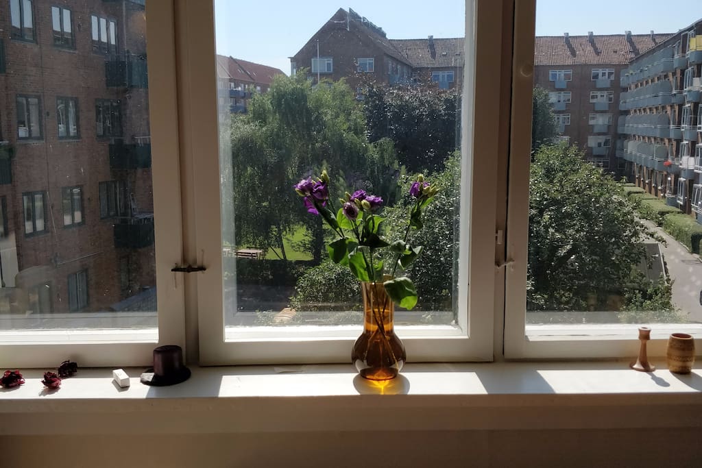 View from Living room