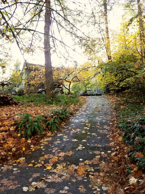 Knotty Pine Studio: Close to U of O, Hayward Field