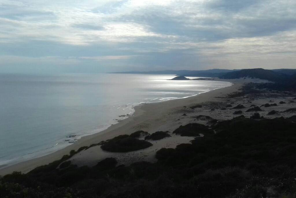 Golden Beach in the Karpaz