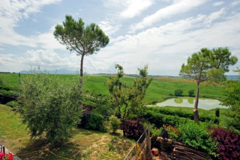 Palazzo Conti B - Panoramic view
