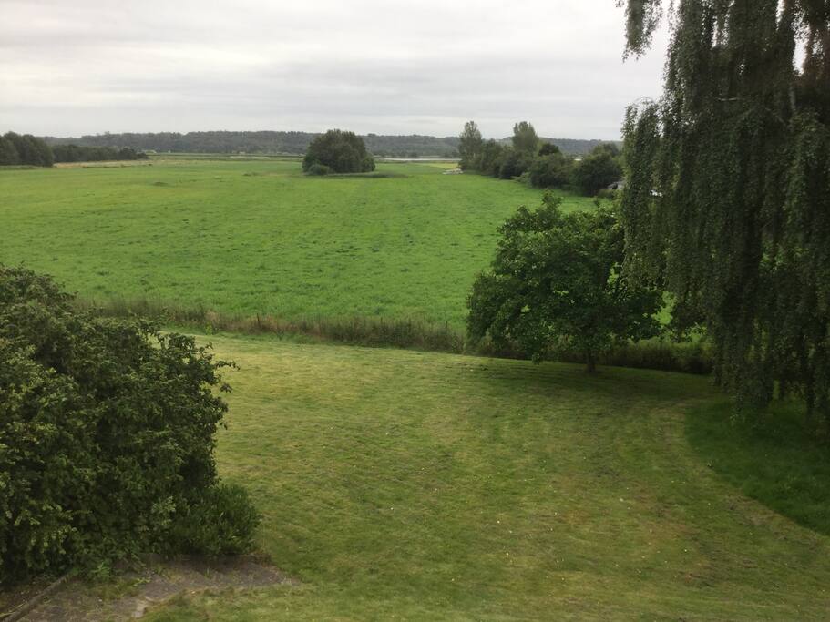 Udsigten fra værelset