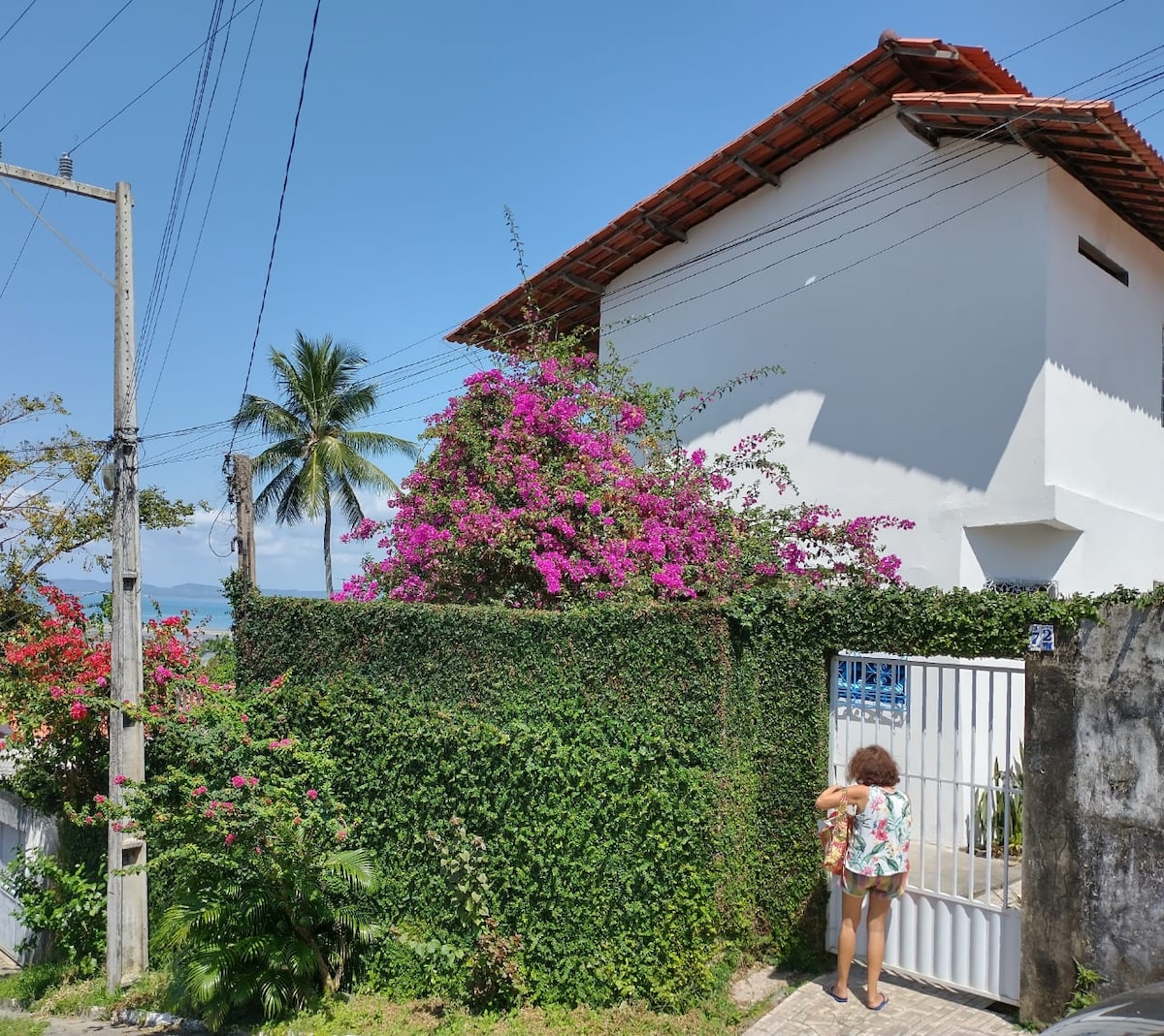 A vibrant garden adorned with blooming bougainvillea creates a colorful entrance. A person stands in front of a white house with a red-tiled roof, framed by lush greenery. The blue sky overhead adds a bright backdrop to the scene.