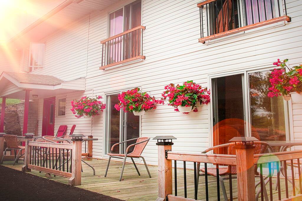 The Forest House B&B