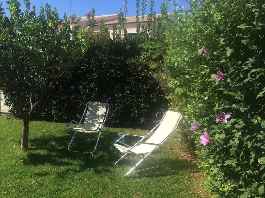 il giardino
