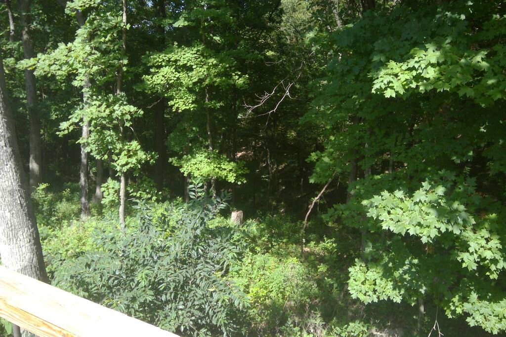 View off pool deck