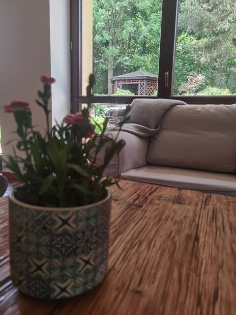 Successful Airbnb property: Toward the Forests – Stołowe Mountains – Sauna – Garden in Dolnośląskie
