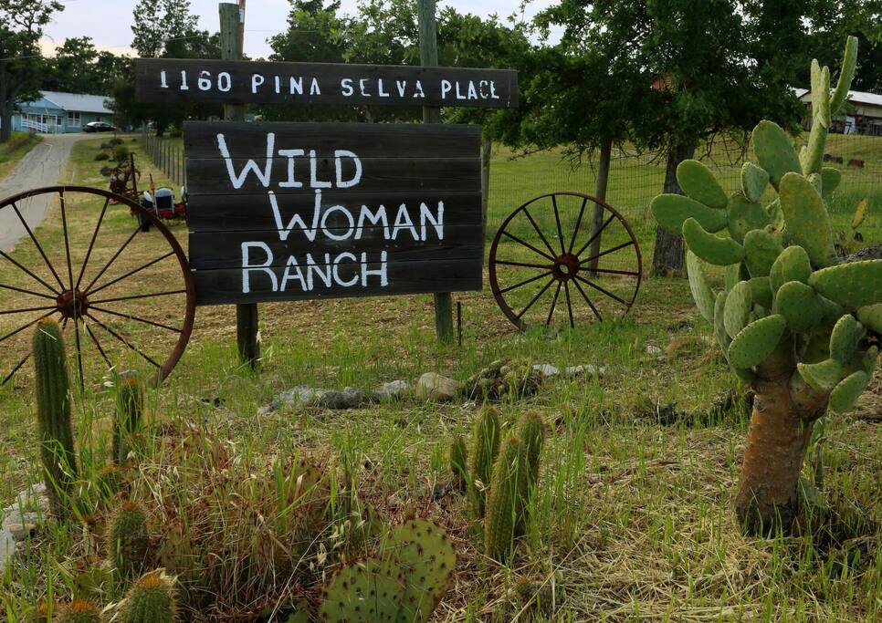The entering into the ranch.