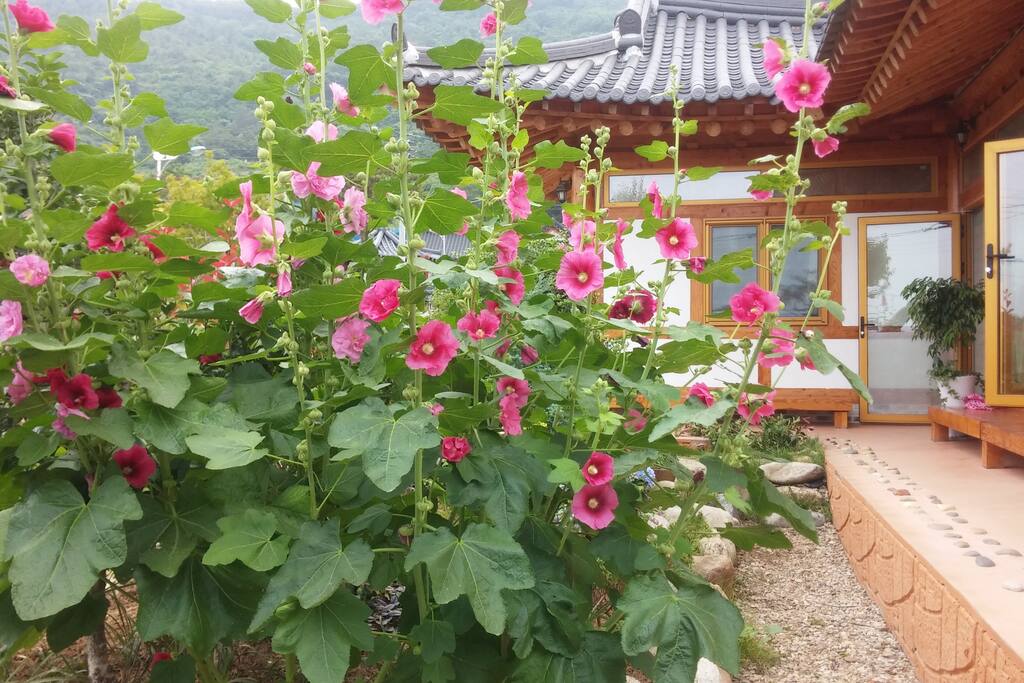 초록방앞 정원