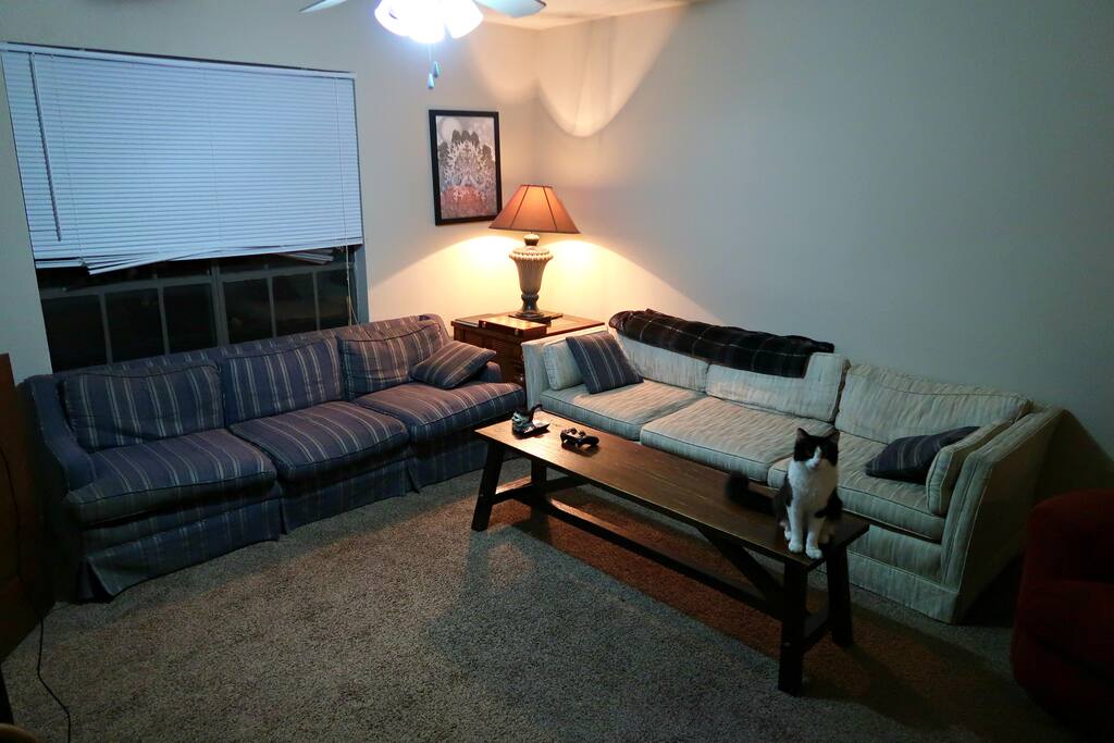 Living Room Couches