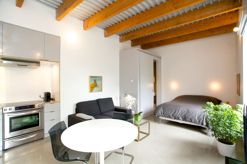 Magnifique studio_PetiteItalie Apartments for Rent in Montreal