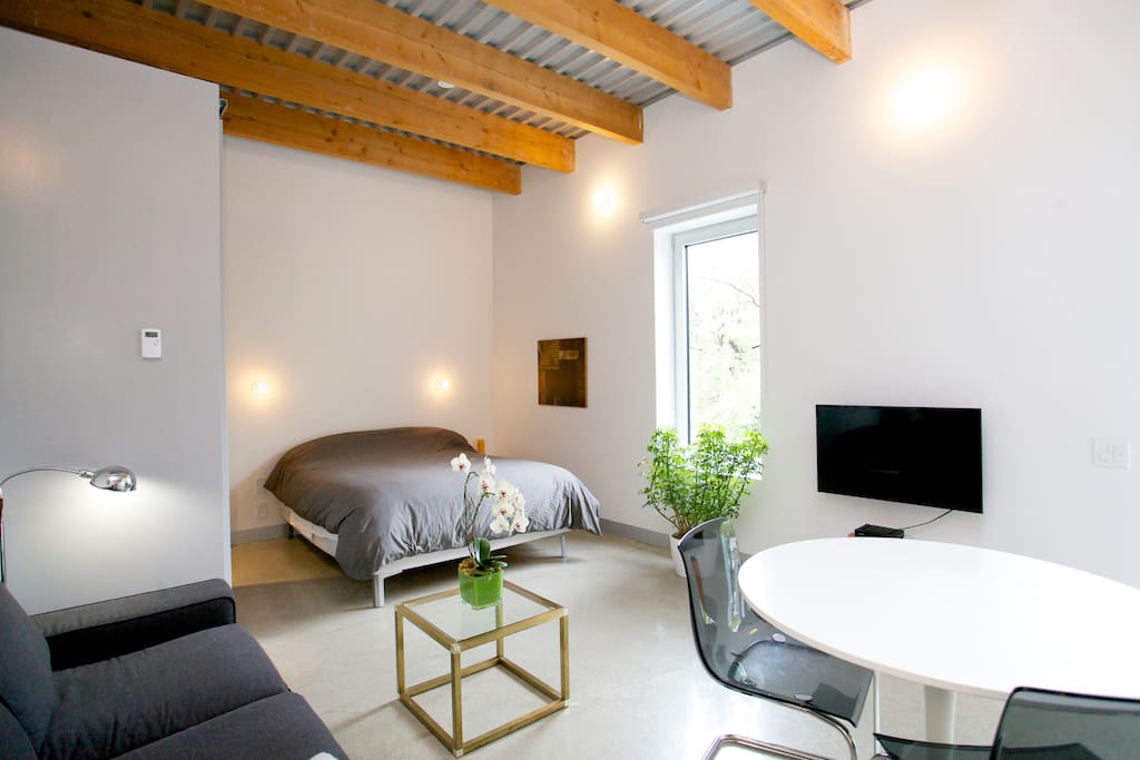 Magnifique studio_PetiteItalie Apartments for Rent in Montreal