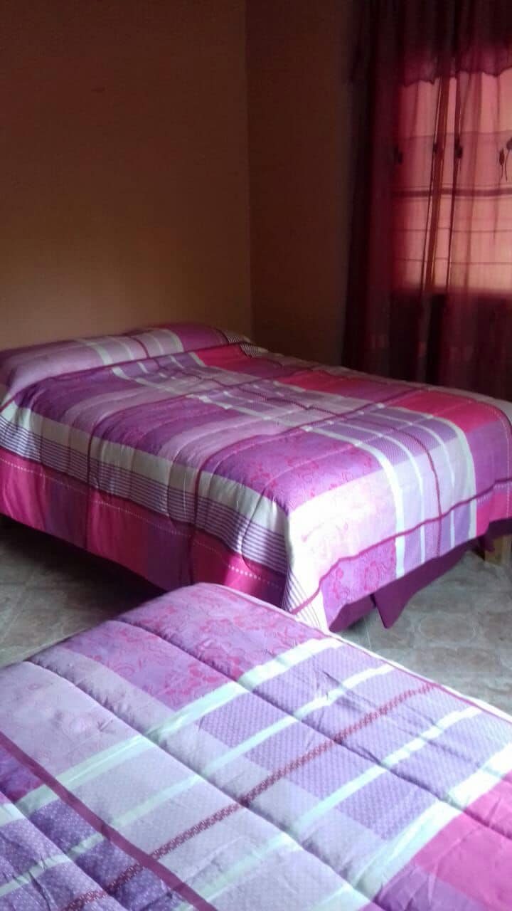 A cozy sleeping arrangement is presented, featuring a spacious bed with purple and pink patterned bedding alongside a smaller bed. Natural light enters the room through a window dressed with sheer pink curtains, complementing the warm wall color.