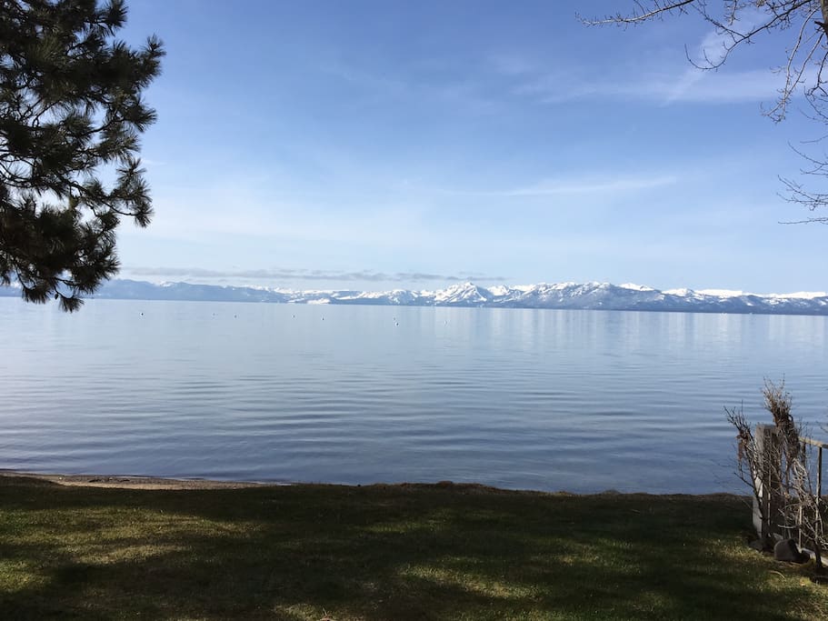 Spring View from the patio