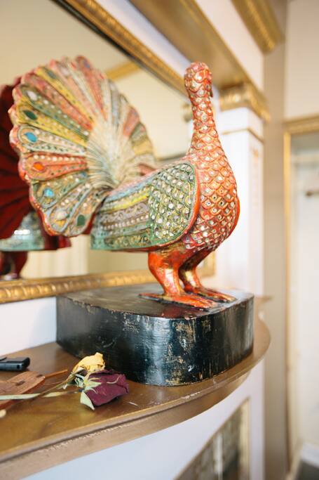 The Peacock!