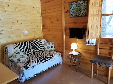 Top performing Airbnb: The lake cabin in Zafiro el Lagunazo Riópar in Albacete