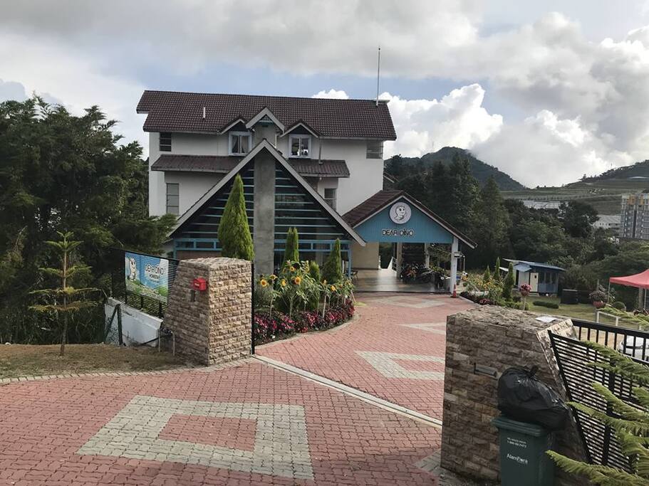 Home Stay View