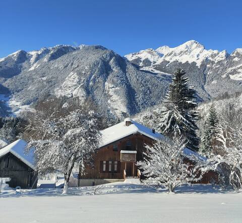 Beautiful chalet with hot tub & sauna near Morzine
