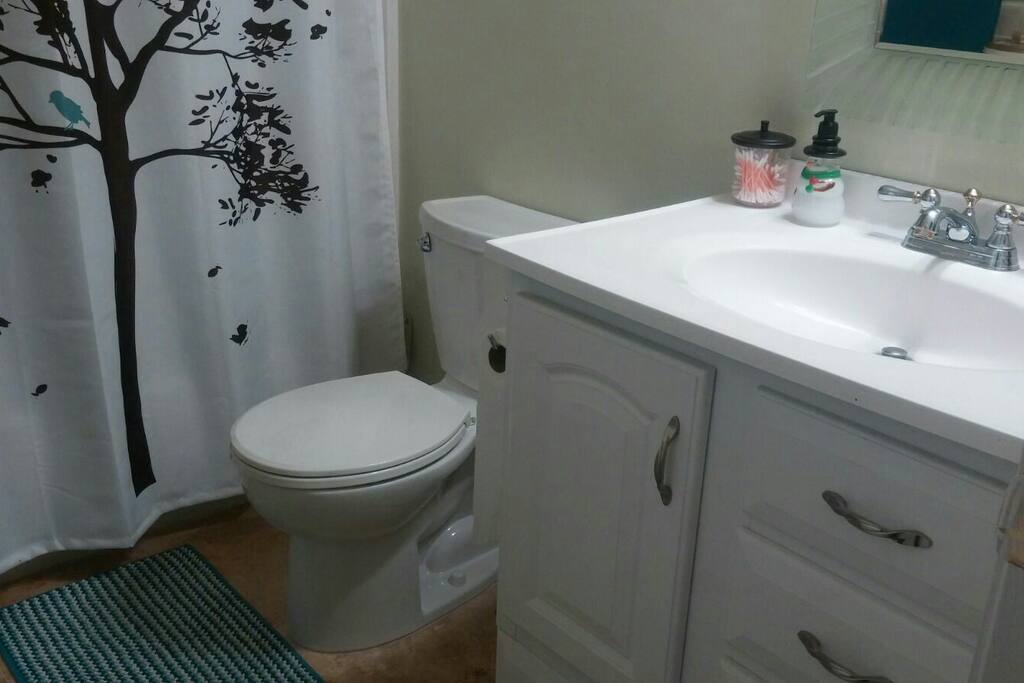 The bathroom