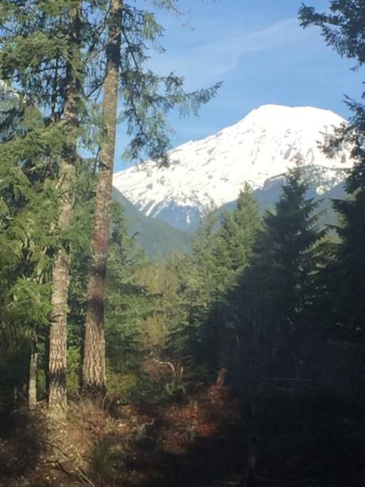 Deer X-ing's view of Mt. Rainier