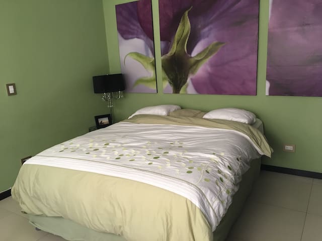 Modern Apartment in Santa Tecla