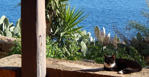Proprietà Airbnb di successo: Charming dammuso by the sea a Pantelleria